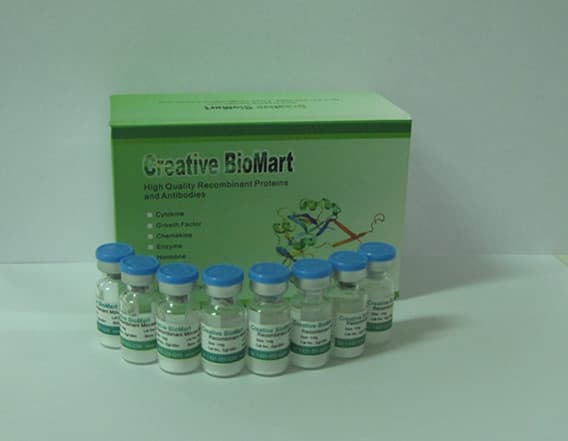 TAF1 bromodomains 1 and 2 TR_FRET Assay Kit